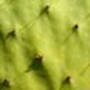 Meet your Posher, Kathryn